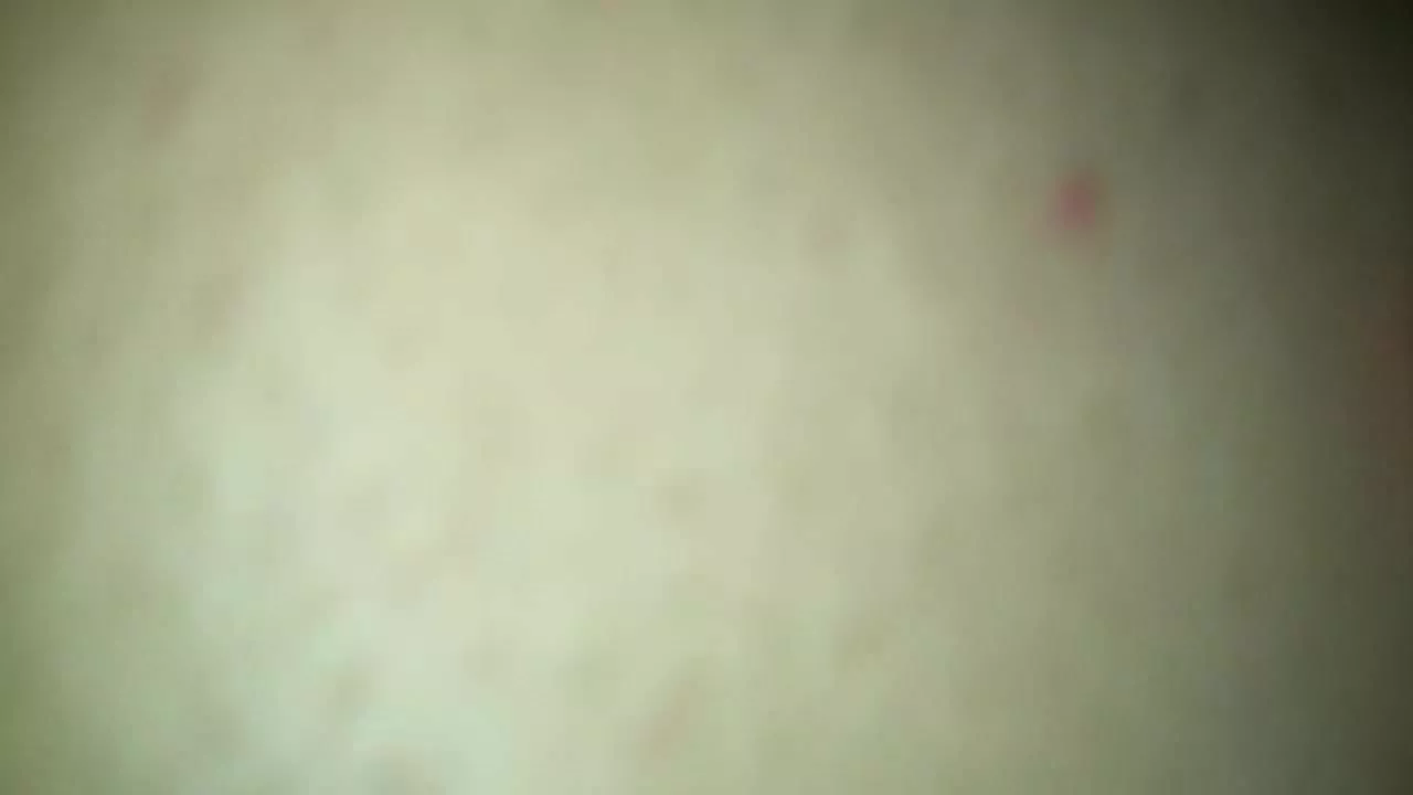 tremendo anal