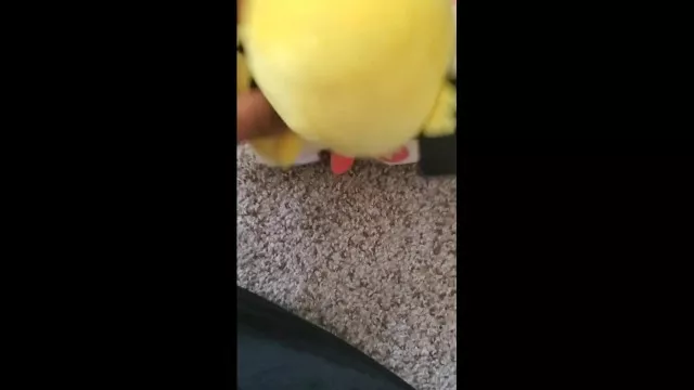 Pichu Fucks Plusle Uncensored